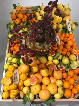 348-biocoop-marseille-grand-littoral-magasin-bio-panier-agrume-fruit-saison-local.webp