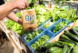 348-biocoop-marseille-grand-littoral-magasin-bio-salade-vert-courgette-legume-fruit.webp