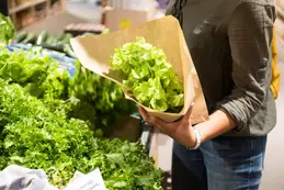 348-biocoop-marseille-grand-littoral-magasin-bio-salade-verte-legume-fruit-saison.webp