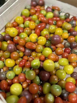 348-biocoop-marseille-grand-littoral-magasin-bio-tomate-cerise-local.webp