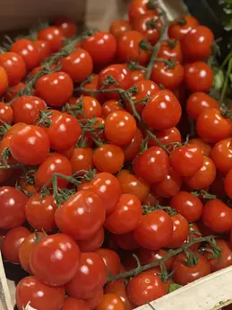 348-biocoop-marseille-grand-littoral-magasin-bio-tomate-grappe-fruit-legume.webp